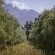 Duikersdrift Winelands Country Escape - 228785