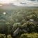 Natural Landscape