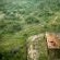 Natural Landscape