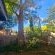 Tranquility Inn - 229066