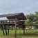 Lush Horizons Game Lodge - 229121