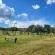 Lush Horizons Game Lodge