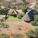 Mattanu Private Game Reserve - 229299