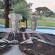 Mattanu Private Game Reserve - 229306