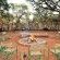 Mattanu Private Game Reserve - 229307