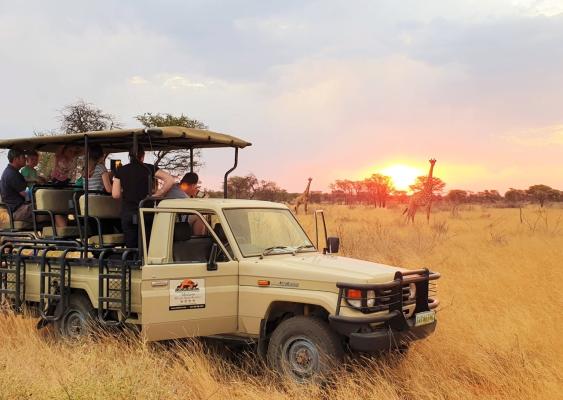 Mattanu Private Game Reserve - 229314