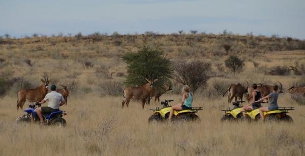 Mattanu Private Game Reserve - 229317