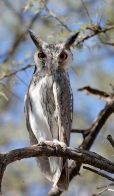 Mattanu Private Game Reserve - 229318