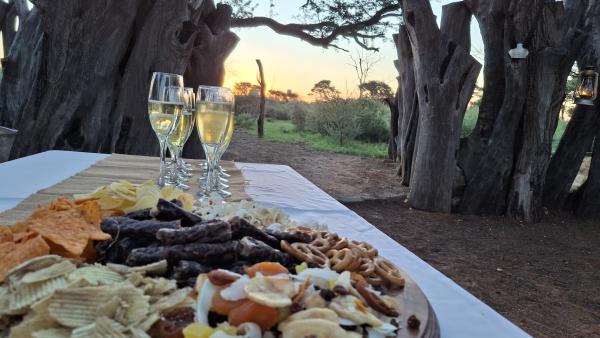 Mattanu Private Game Reserve - 229326
