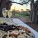 Mattanu Private Game Reserve - 229326