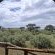 Mattanu Private Game Reserve - 229342