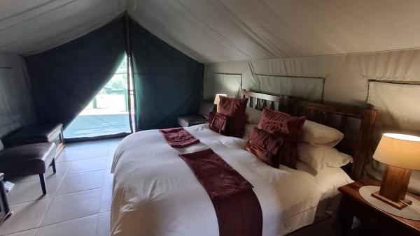 Mattanu Private Game Reserve - 229348