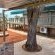 Mattanu Private Game Reserve - 229354