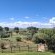Mattanu Private Game Reserve - 229357