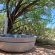 Mattanu Private Game Reserve - 229375