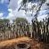Mattanu Private Game Reserve - 229390