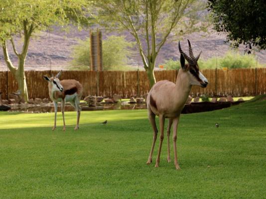 Vioolsdrift Lodge - 229465