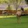 Vioolsdrift Lodge - 229465