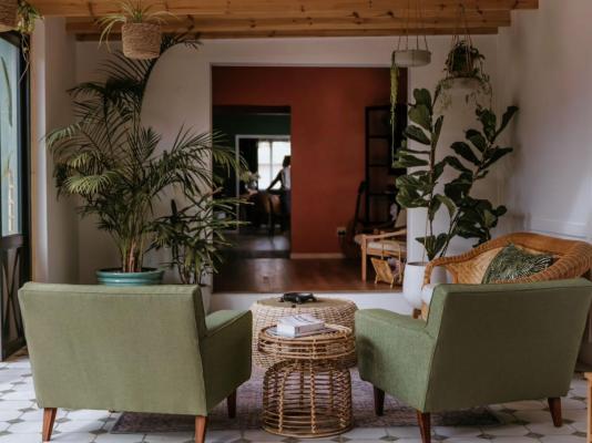 Fancy Fritz B&B - 229543