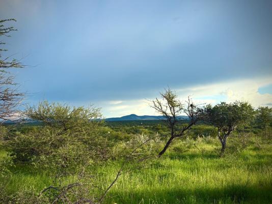 Ndefu Safari Group - 229617