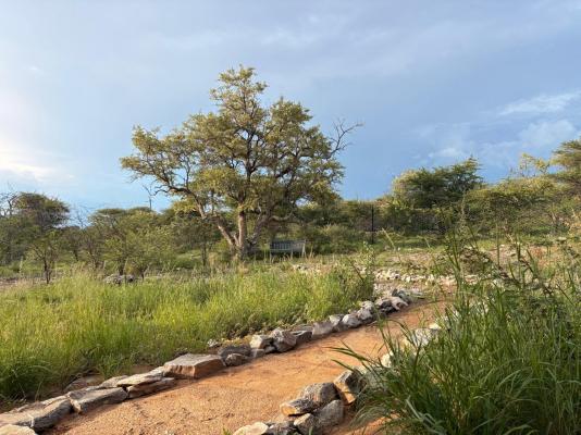Ndefu Safari Group - 229633
