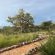 Ndefu Safari Group - 229633