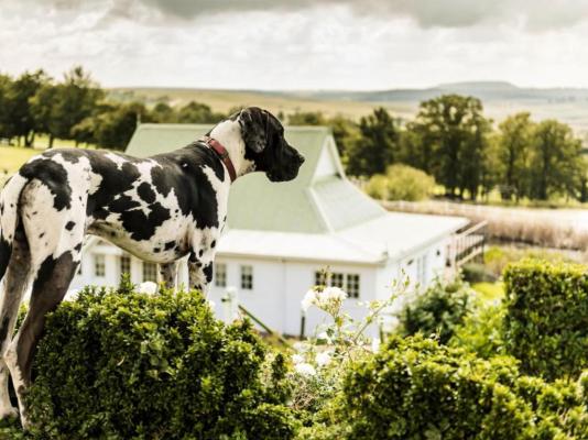 Oaklands Farm Stay - 229836