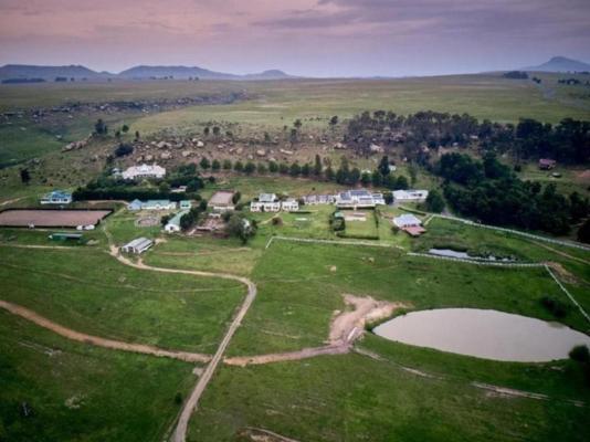 Oaklands Farm Stay - 229840