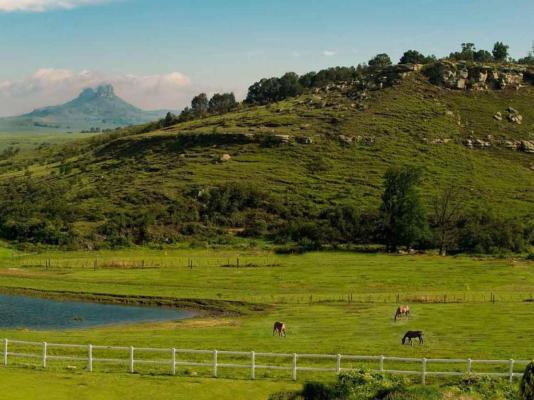 Oaklands Farm Stay - 229843