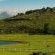 Oaklands Farm Stay - 229843