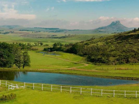 Oaklands Farm Stay - 229845