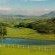 Oaklands Farm Stay - 229845