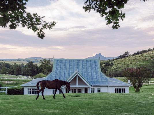 Oaklands Farm Stay - 229847