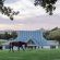 Oaklands Farm Stay - 229847