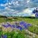 Oaklands Farm Stay - 229863