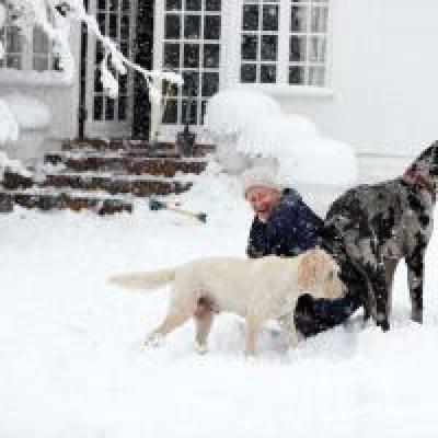 Oaklands Farm Stay - 229867
