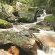 Hiking trails
