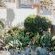 Coastal Charm Hideaway - 230404