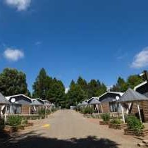 Lavender Hill Country Estate - 230541