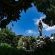 Lavender Hill Country Estate - 230544