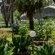 Lavender Hill Country Estate - 230545