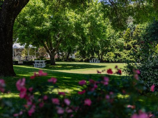 Lavender Hill Country Estate - 230546