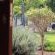 Three Thymes Inn - 230607