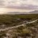 Fynbos Safari