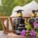Kalahari Lifestyle Amenities