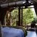 Forest View Suite