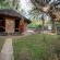 Ngoma Bush Lodge - 230831