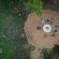 Ngoma Bush Lodge - 230833