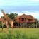 Pezulu Tree House Lodge - 230915