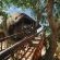 Pezulu Tree House Lodge - 230918